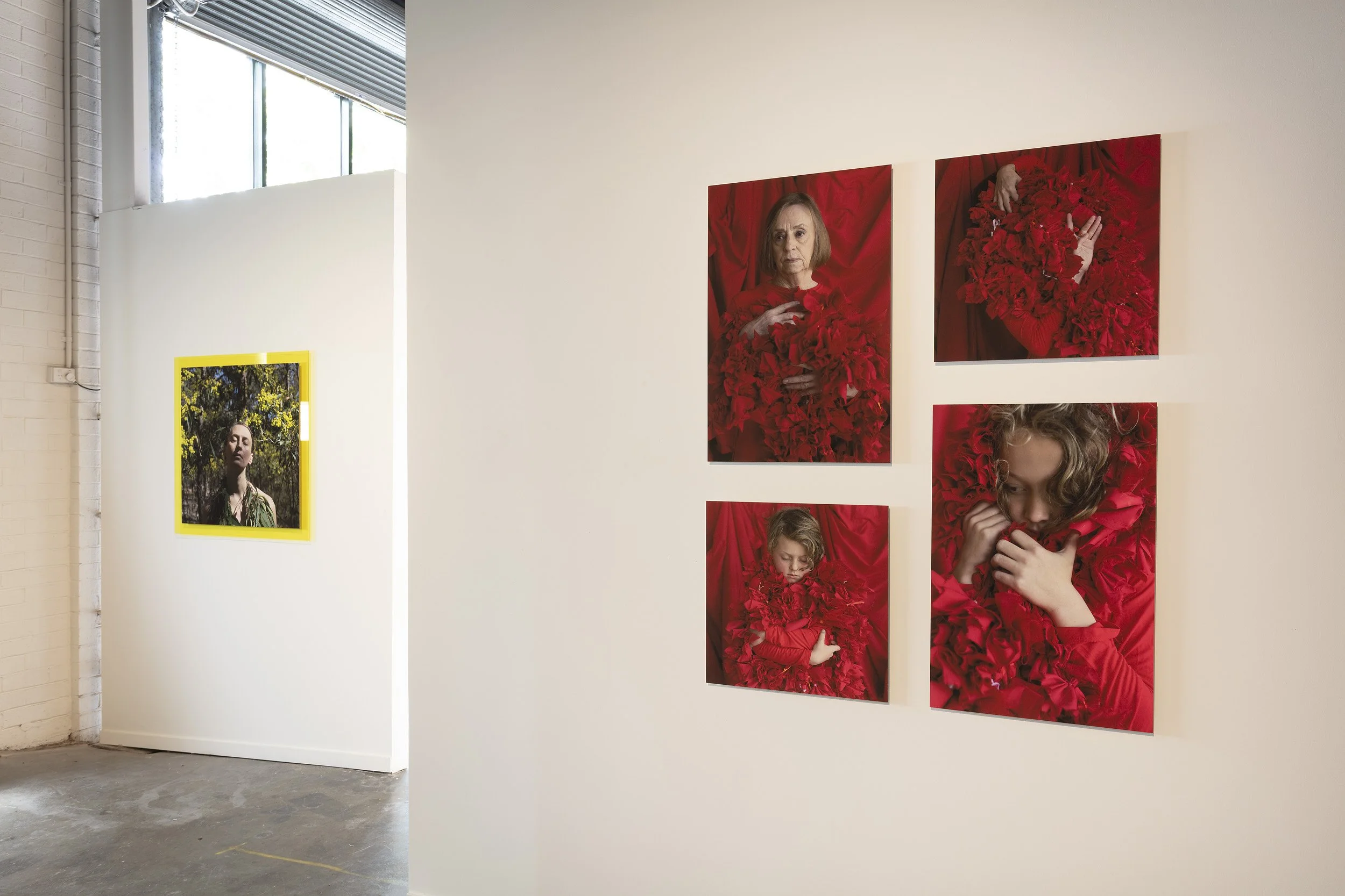  Installation view, 2025 Parallel Projects Documentation by Narelle Wilson 