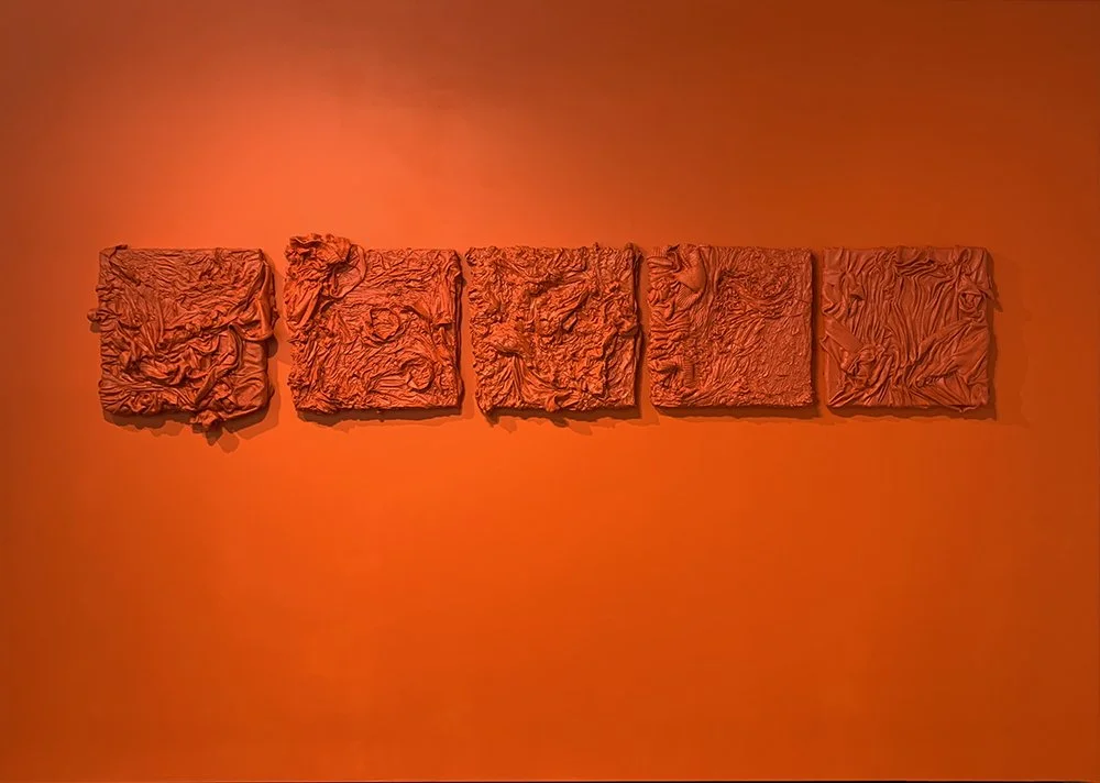  Dropped in Terrain (emotional landscapes) Mixed media 2.7 × 3.7m 2024 