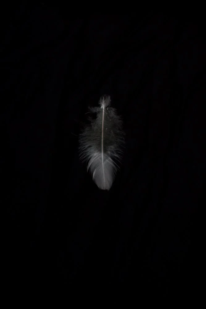 fallendepths-9_ilonanelson 1000px.jpg