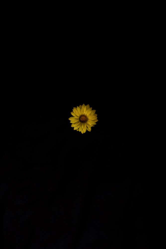 fallendepths-8_ilonanelson 1000px.jpg