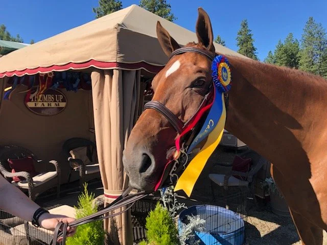 Quilambo USHJA 3' Evergreen Classic 2021.JPG