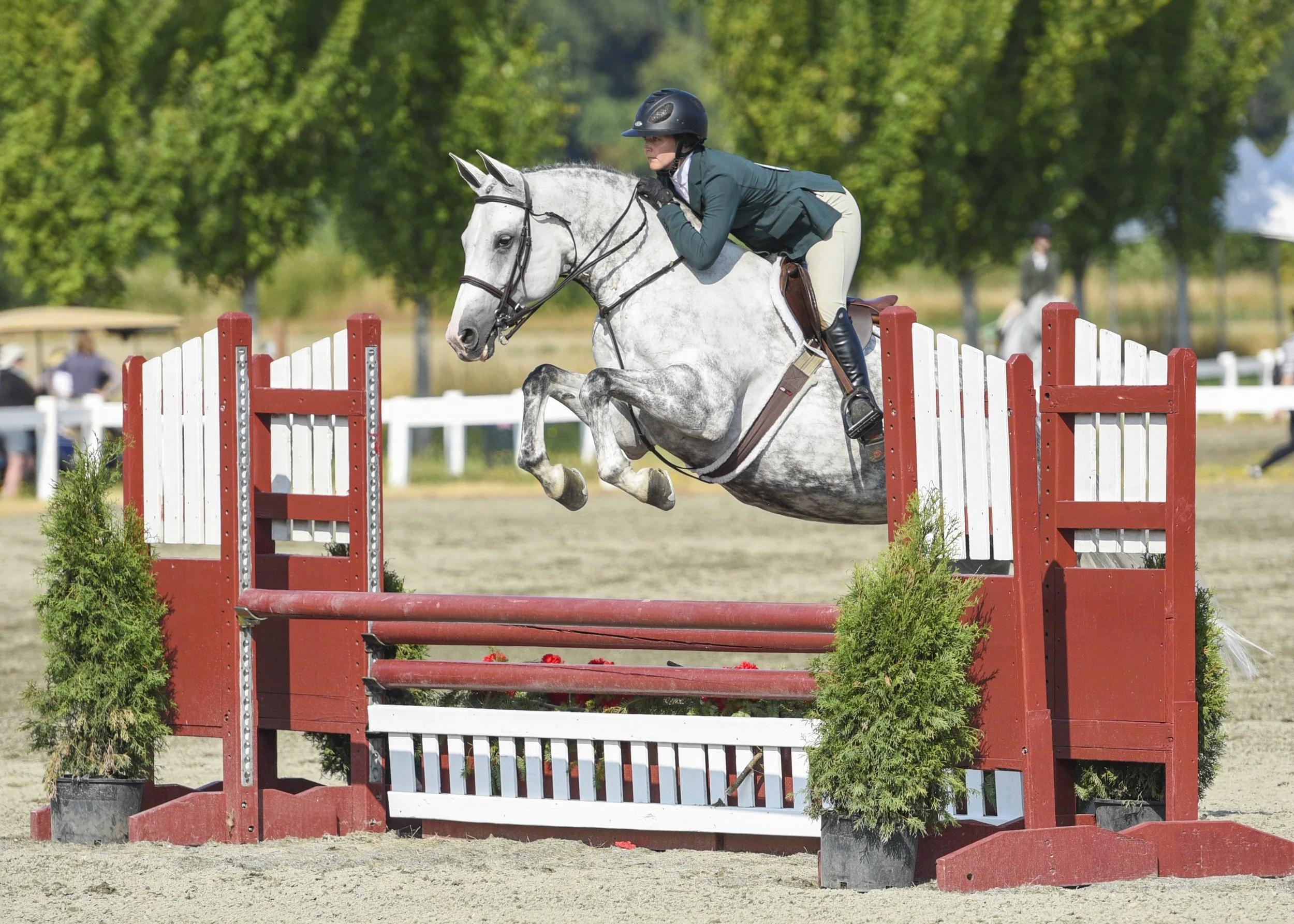 Silver Spoon 2021 Evergreen Classic.jpg