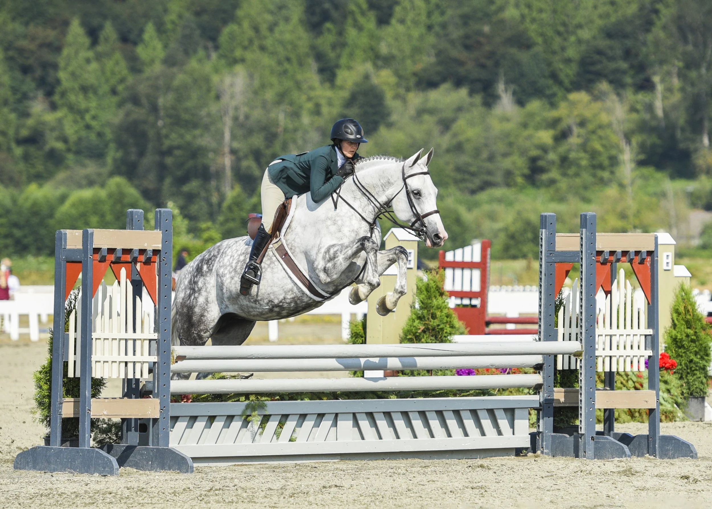 Silver Spoon 2021 Evergreen Classic 2.jpg