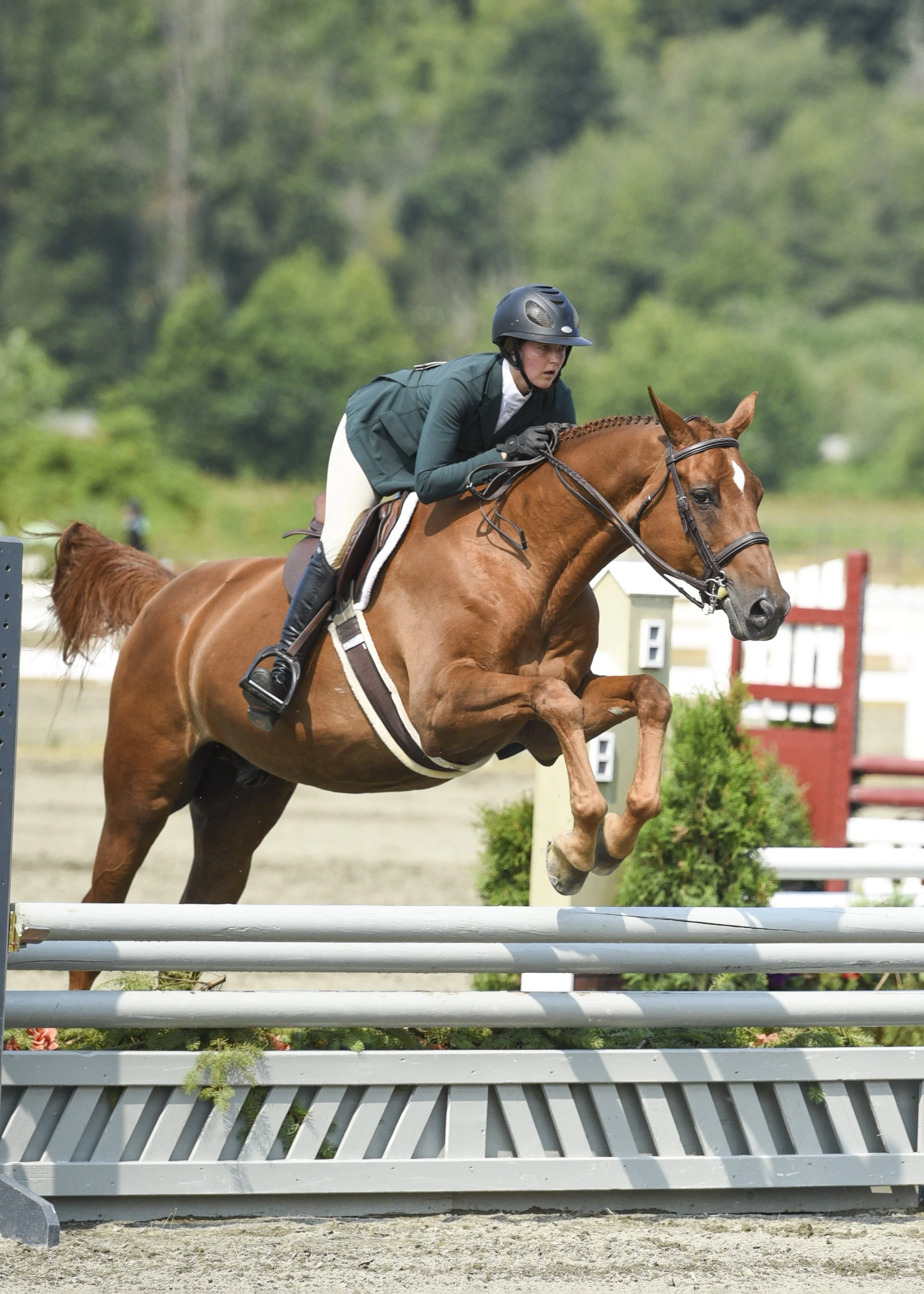 Quilambo 2021 Evergreen Classic.jpg