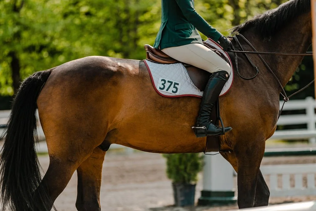 2023 May Monroe 1.0m Jumper.jpg