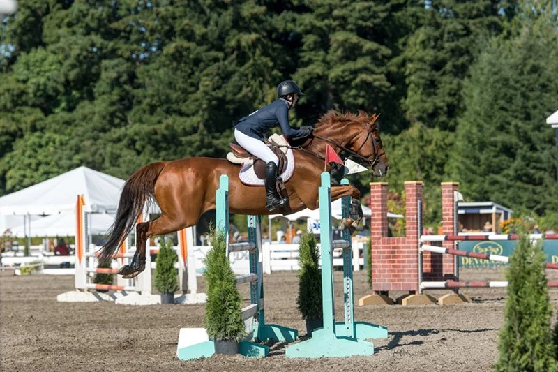 Dempsey 1.15 Mini Prix.jpg