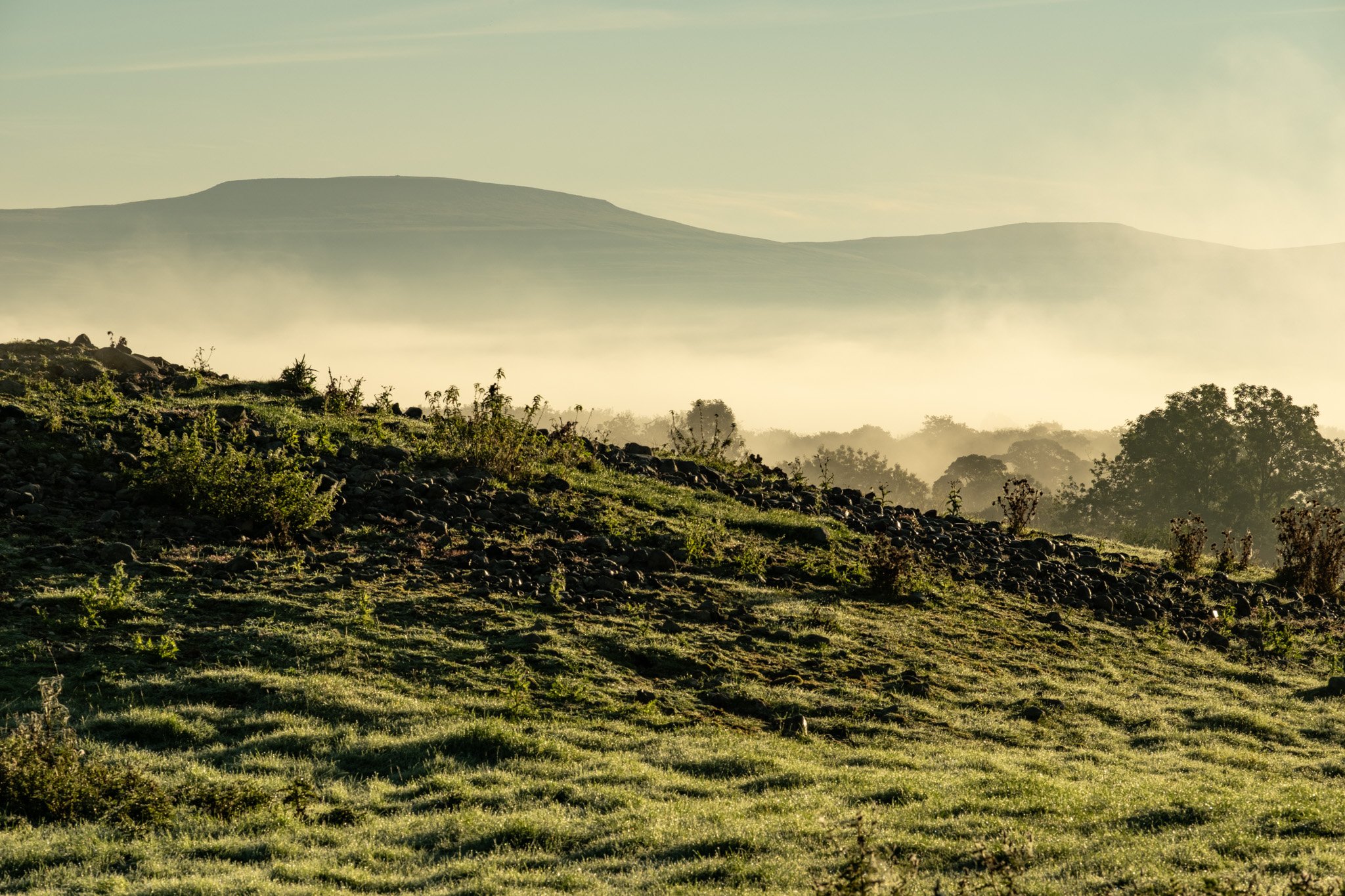 20250922_Mayburgh_061.jpg