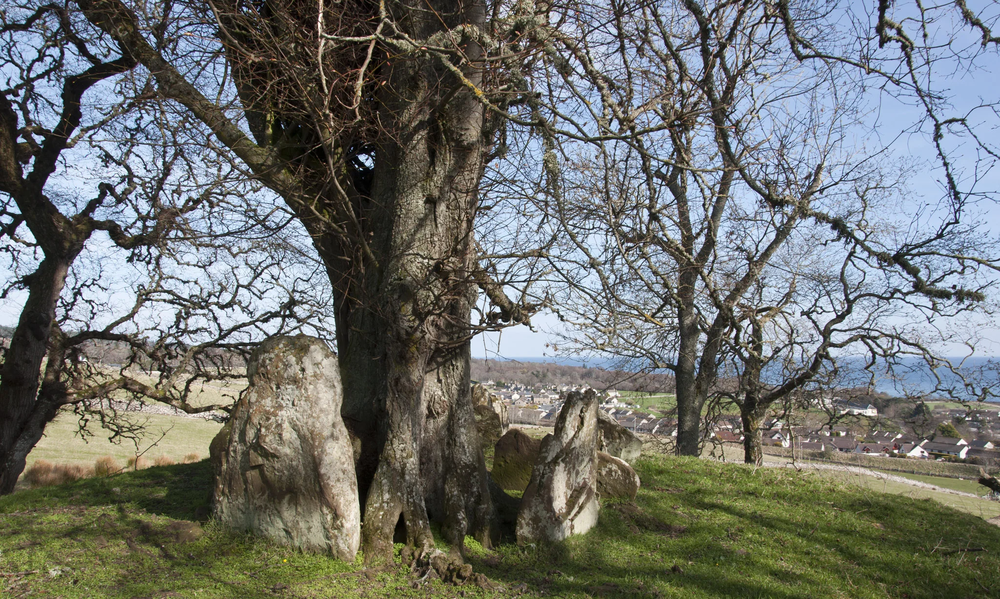 DSC_0023_2048.jpg