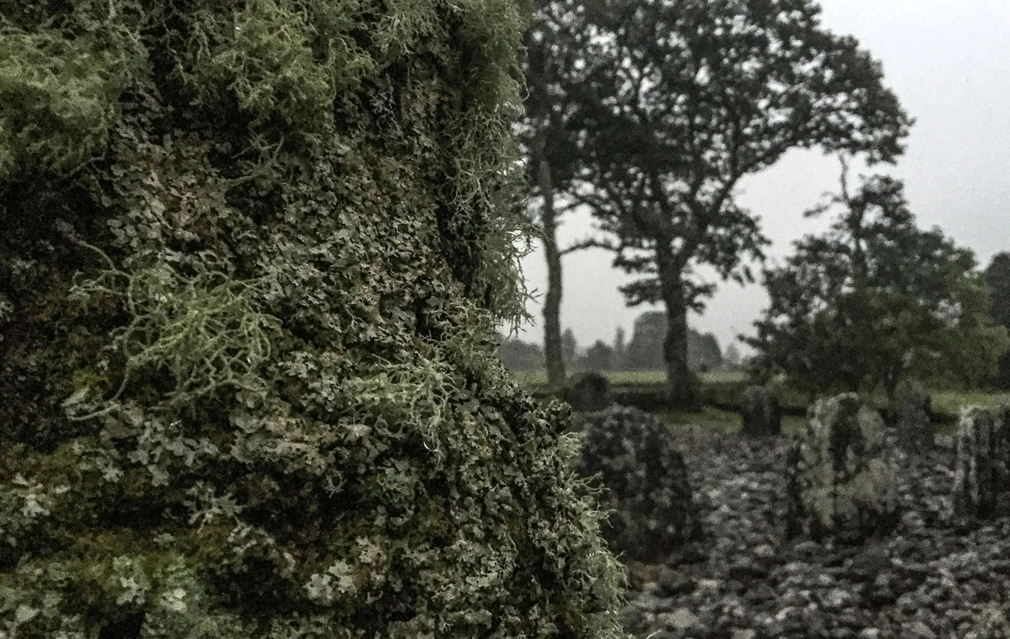 Temple Wood Kilmartin 0674.jpg