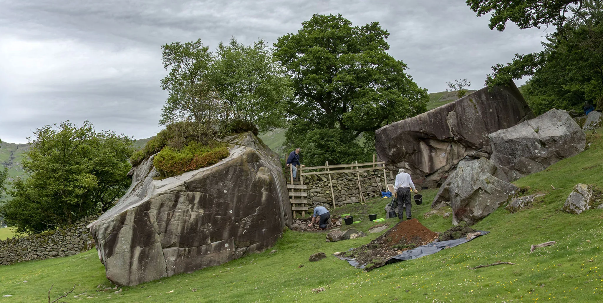 copt_howe_pan02_2048.jpg