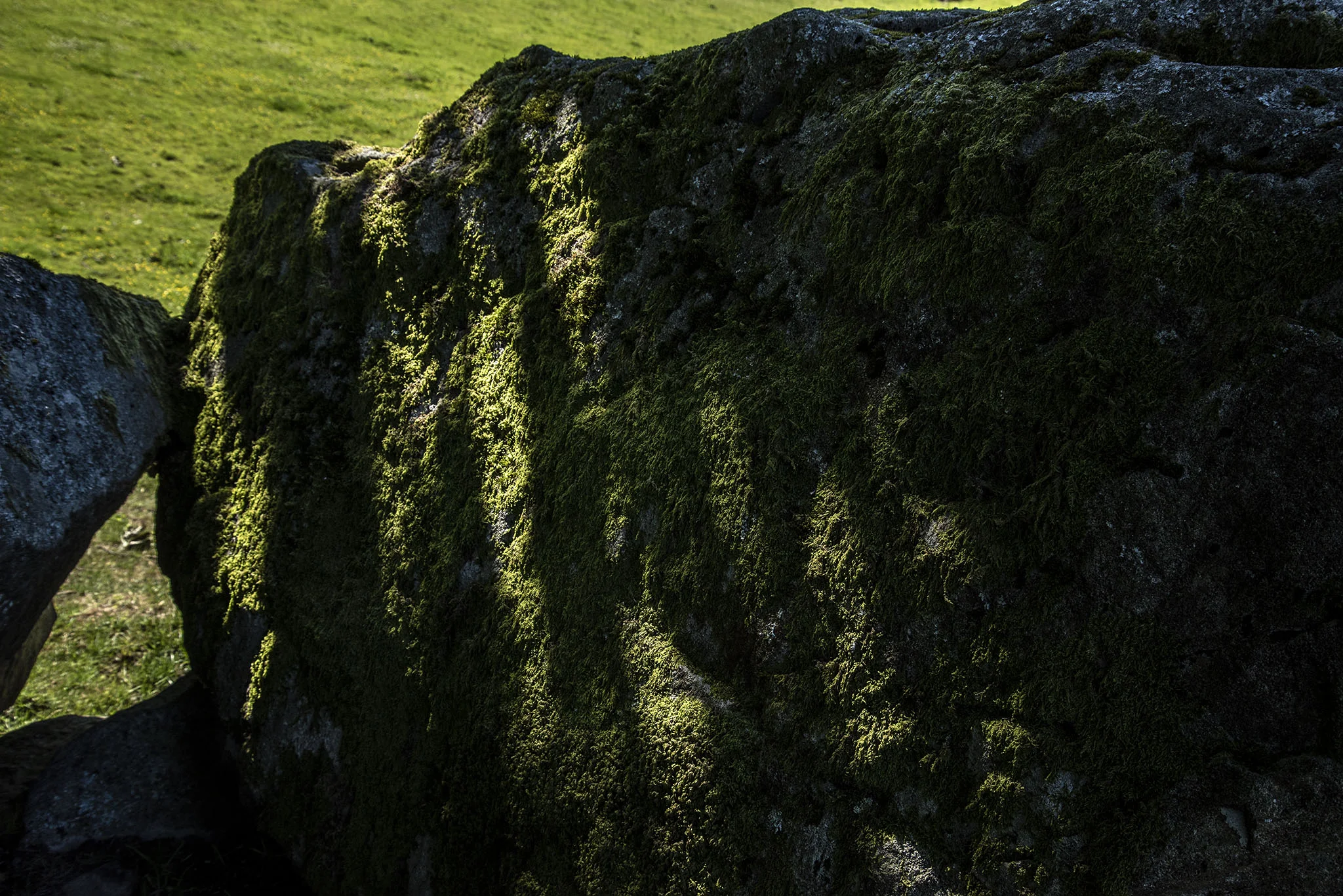 DSC_4202_edit.jpg