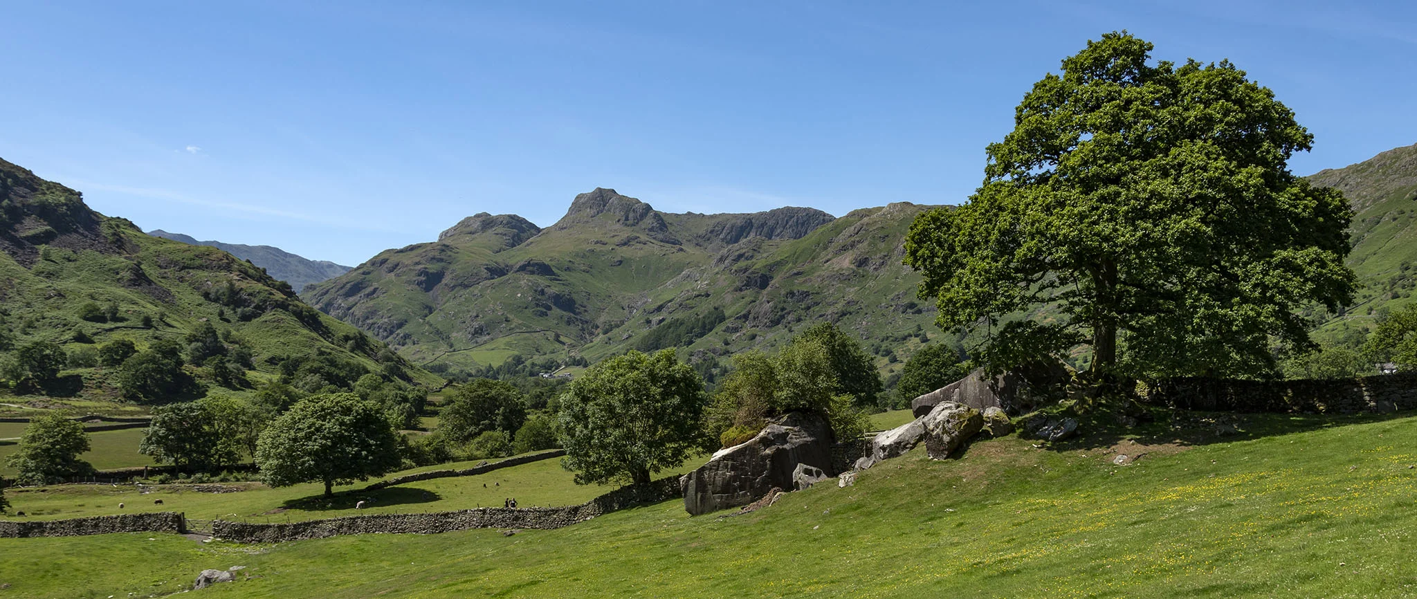 DSC_5709_2048.jpg