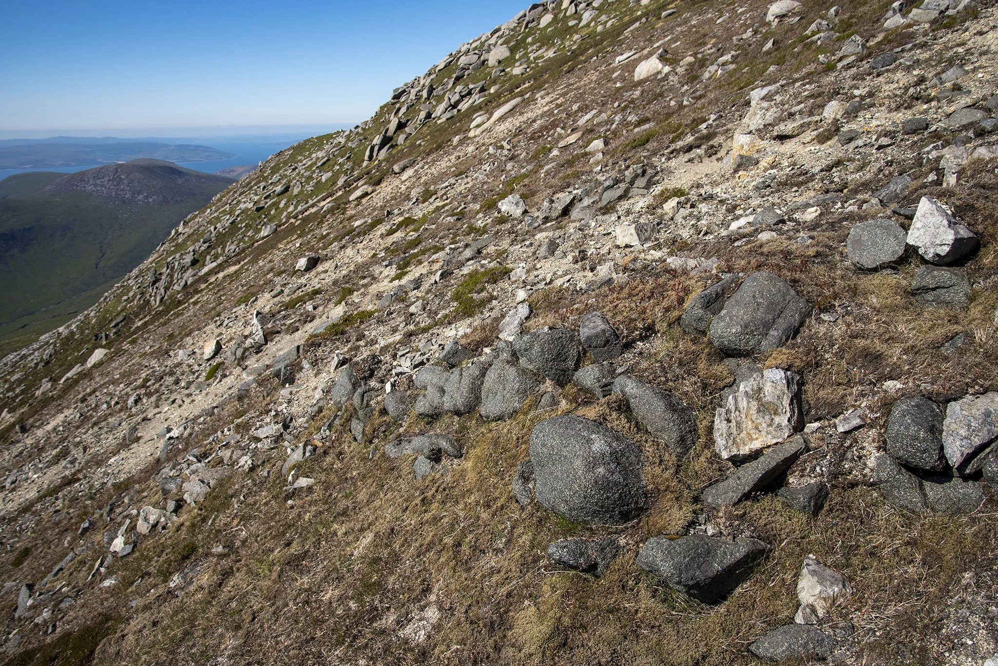 DSC_0936_2048.jpg