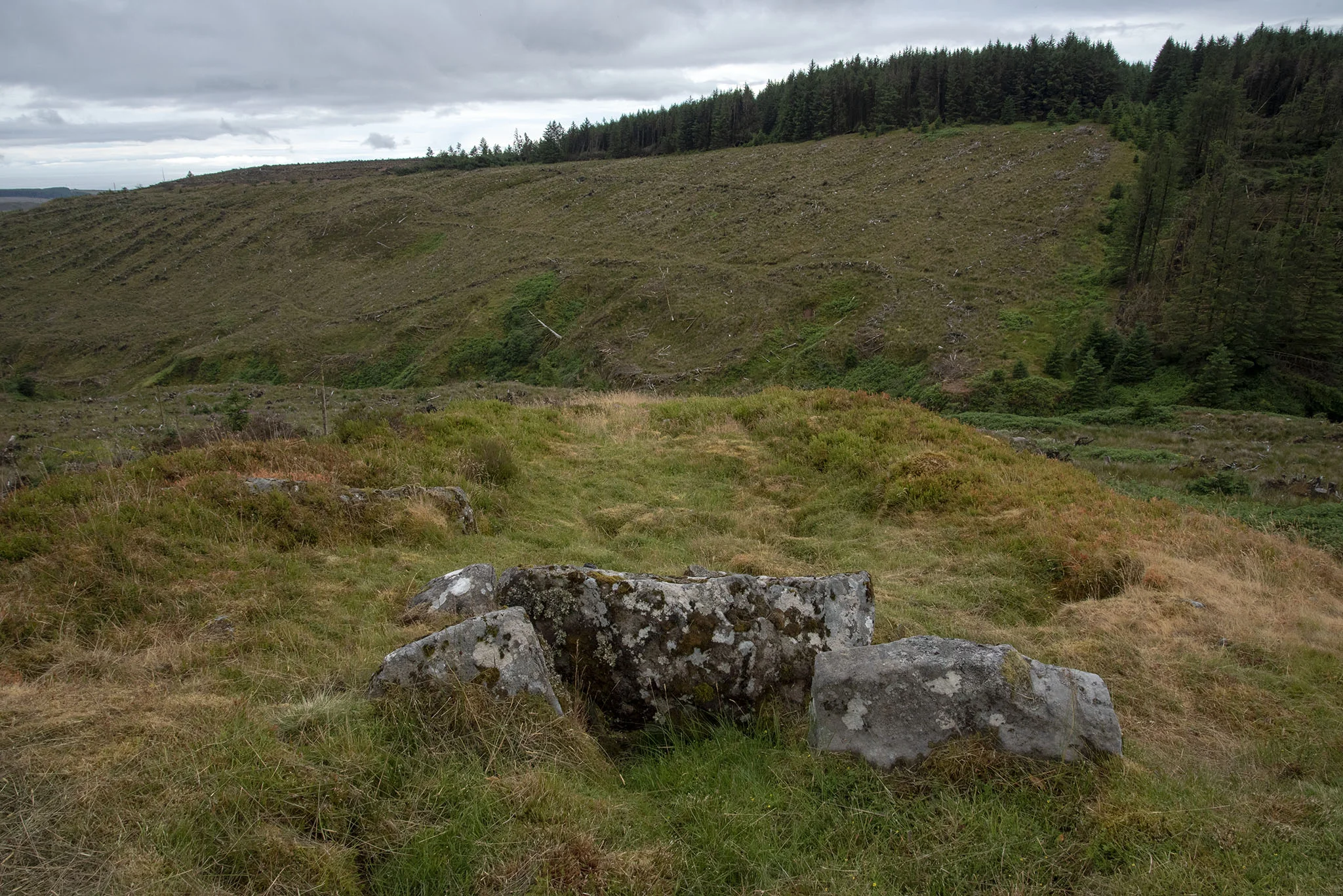 DSC_1221_2048.jpg