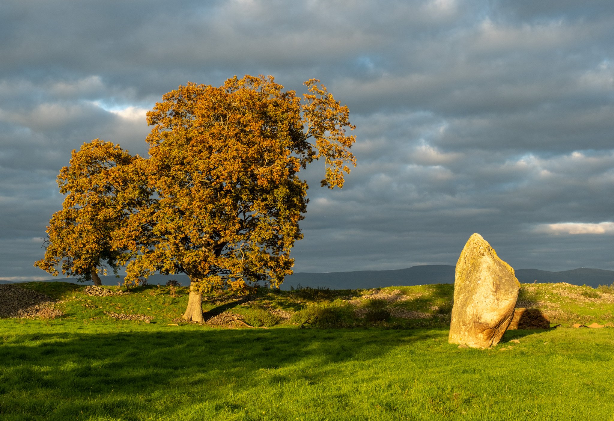 20250923_Mayburgh_797.jpg