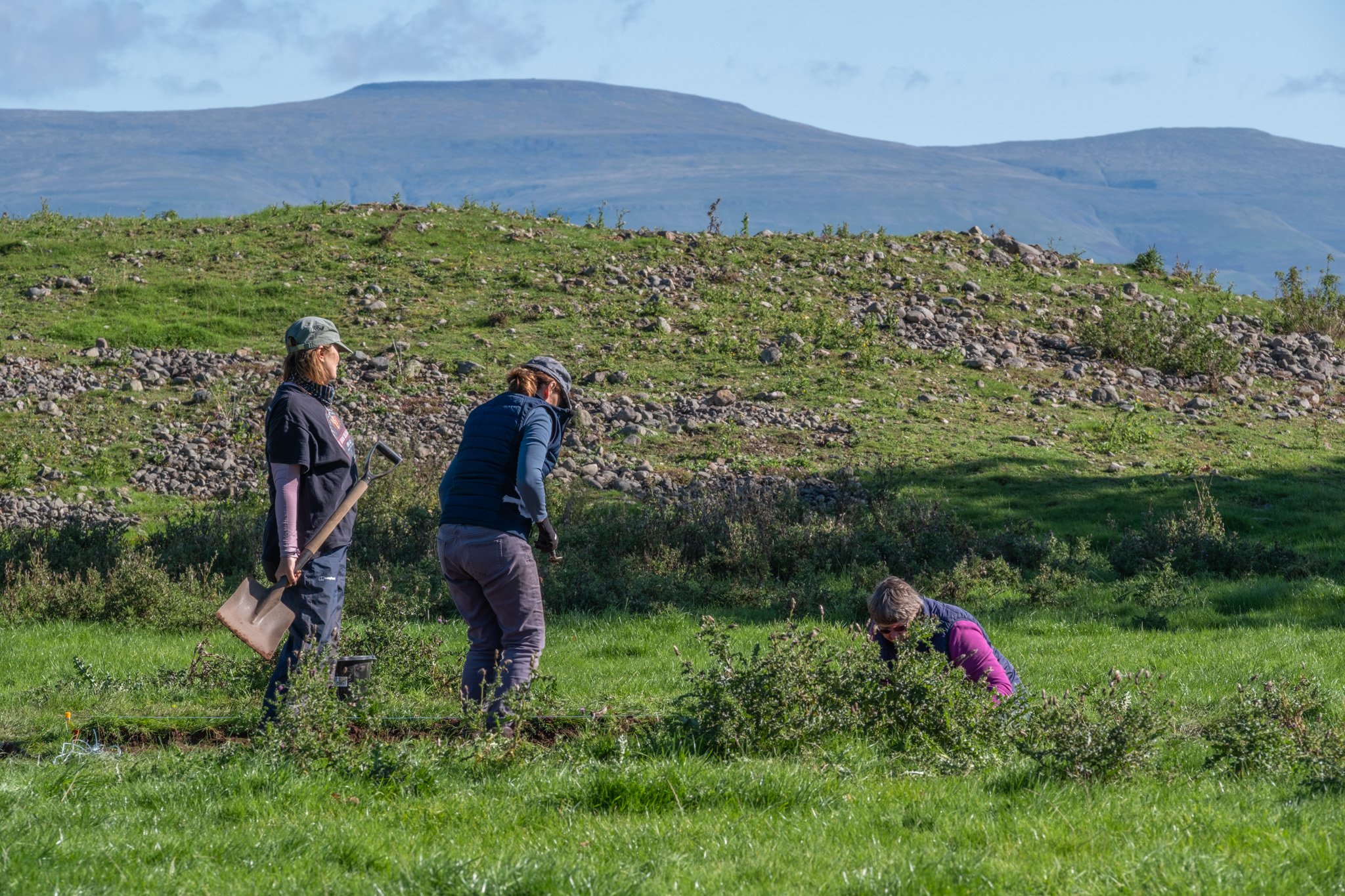 20250921_Mayburgh_079.jpg