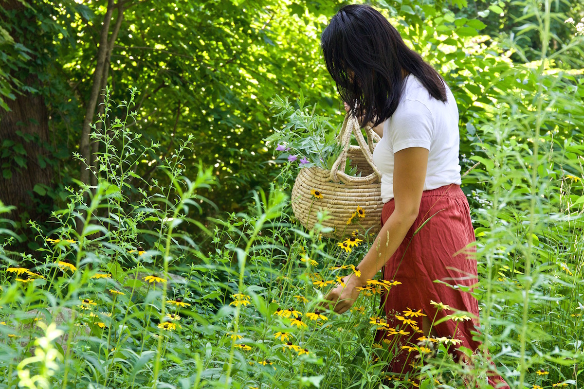 Making Herbal Preparations 101 Course with Herbal Academy.jpeg