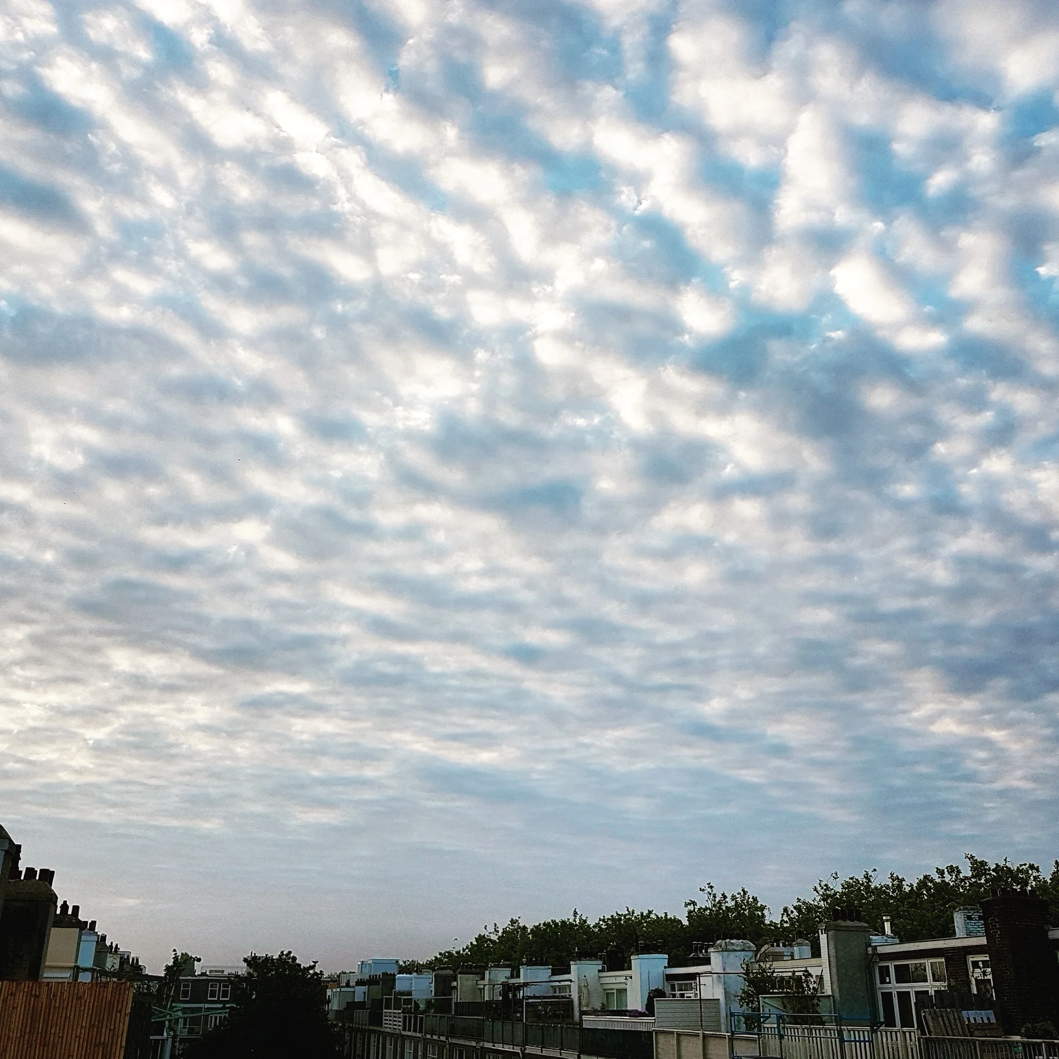 IMG_20160718_061726.jpg