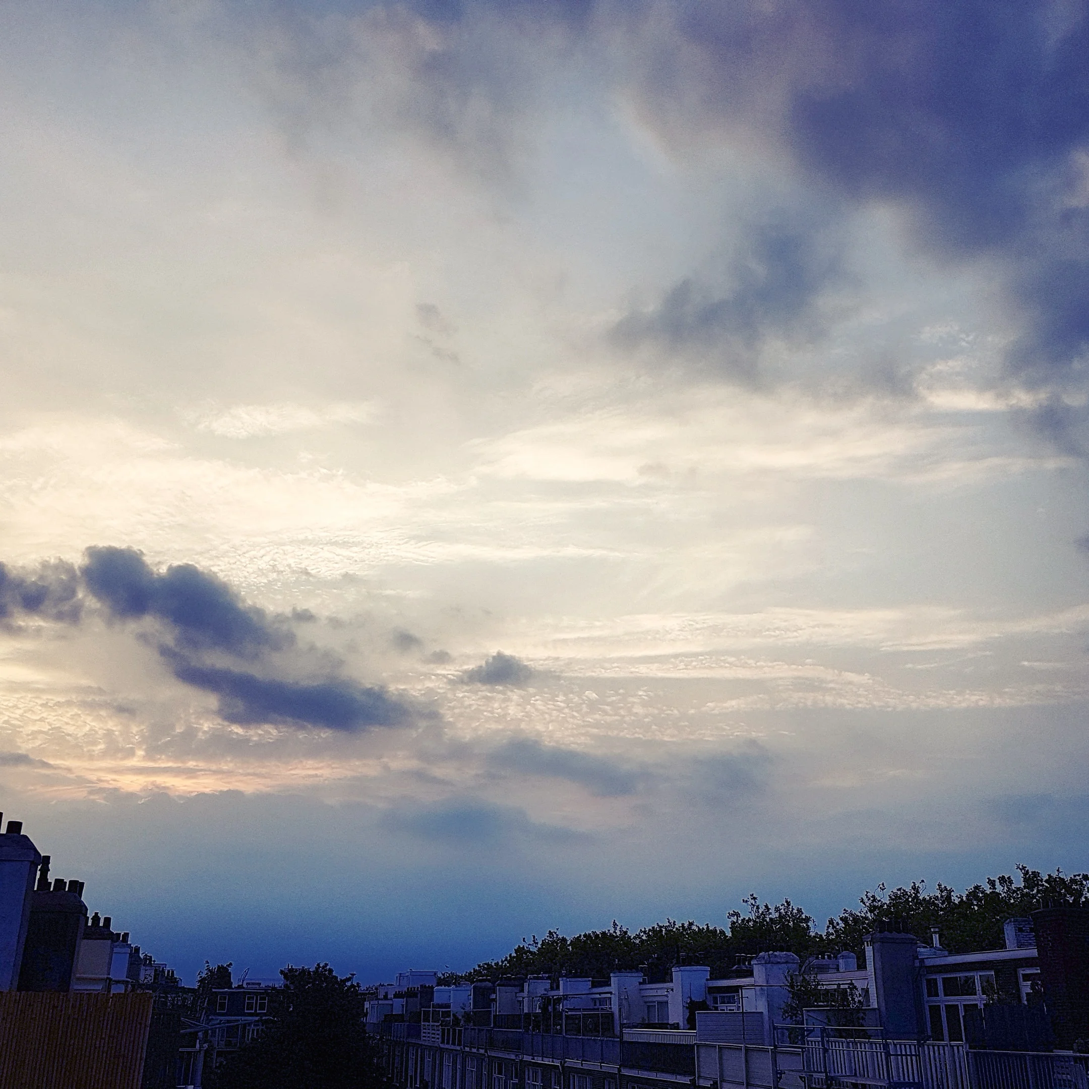 IMG_20160727_064026.jpg