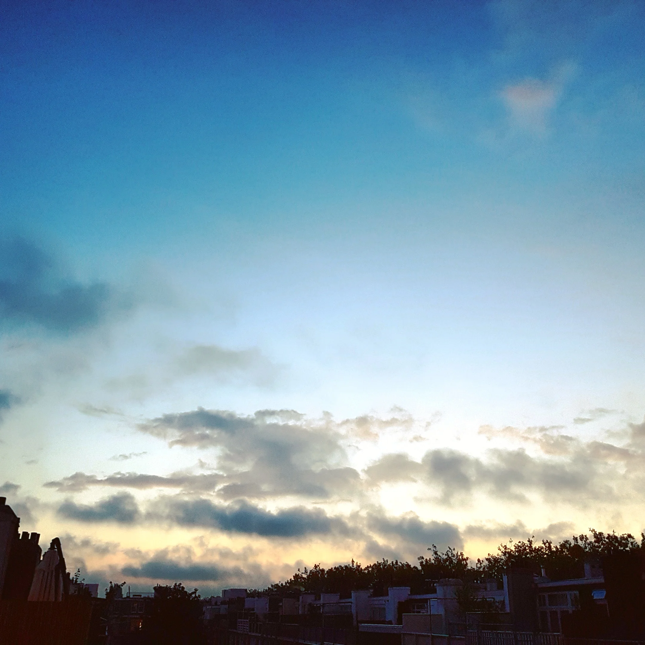 IMG_20161018_074605.jpg