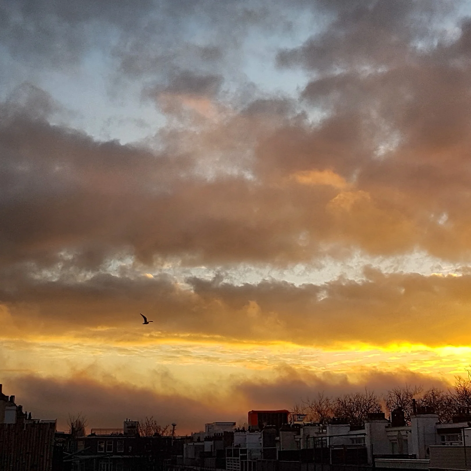 18-03-08 goedemorgen .jpg