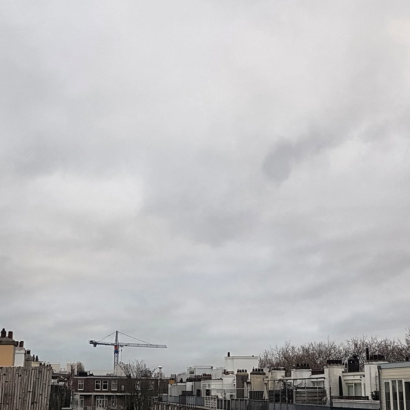 IMG_20190105_094442_906.jpg