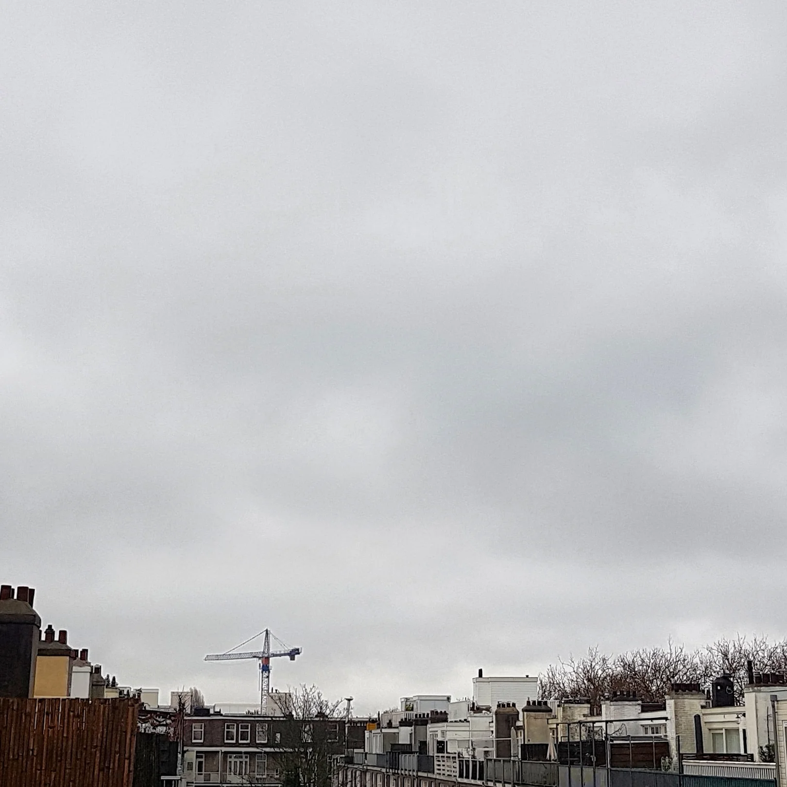 IMG_20190127_100255_146.jpg