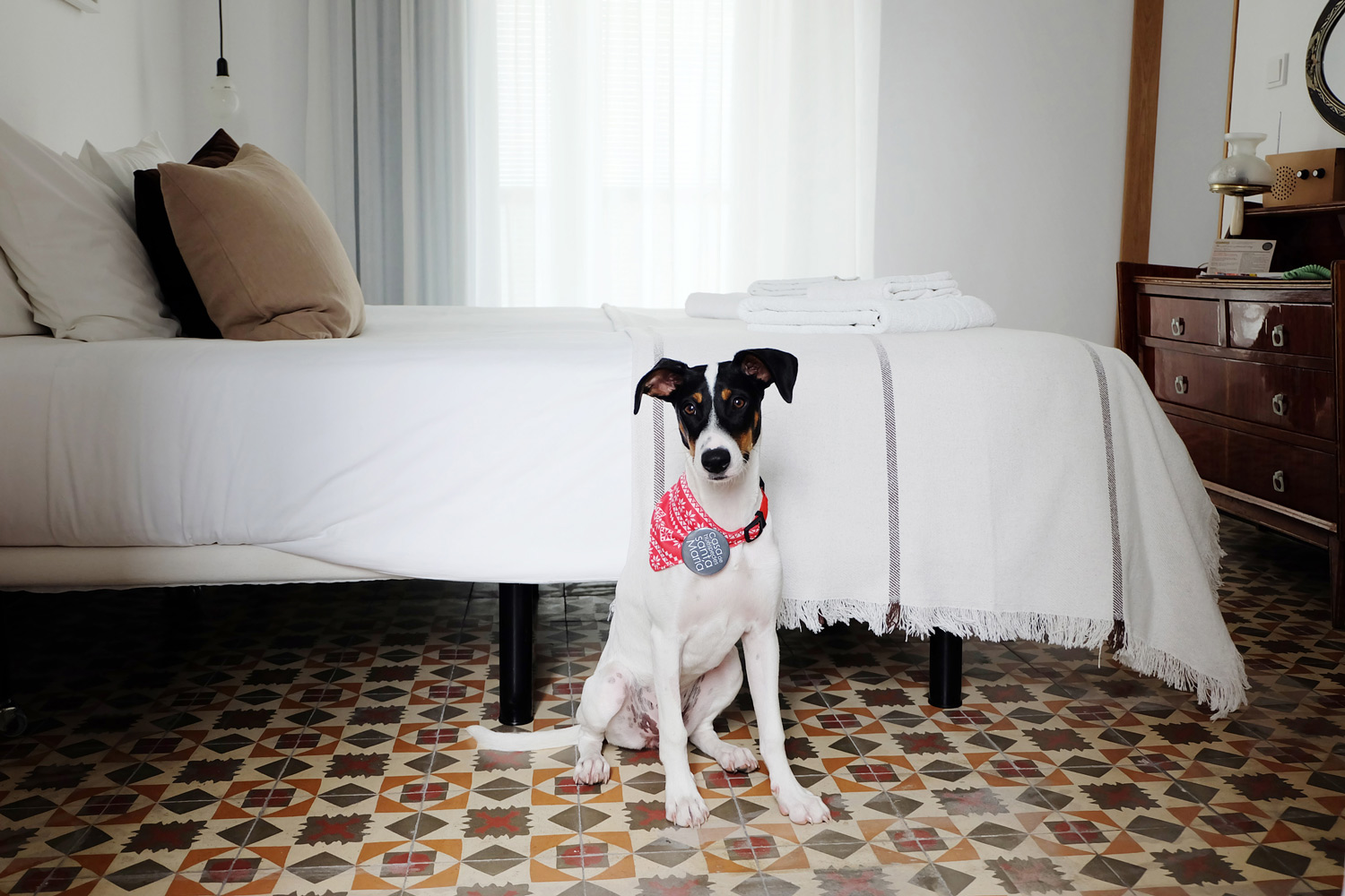 Hotel-Casa-de-Huespedes-Santa-Maria-petfriendly-Berta-2.jpg