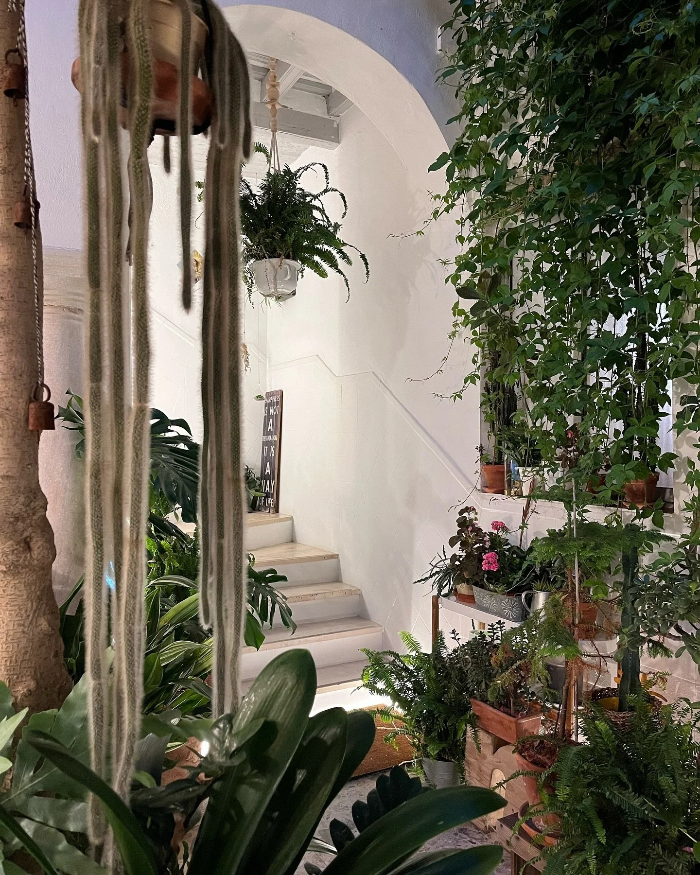 #beautiful #bonito nuestro #patio de #noche