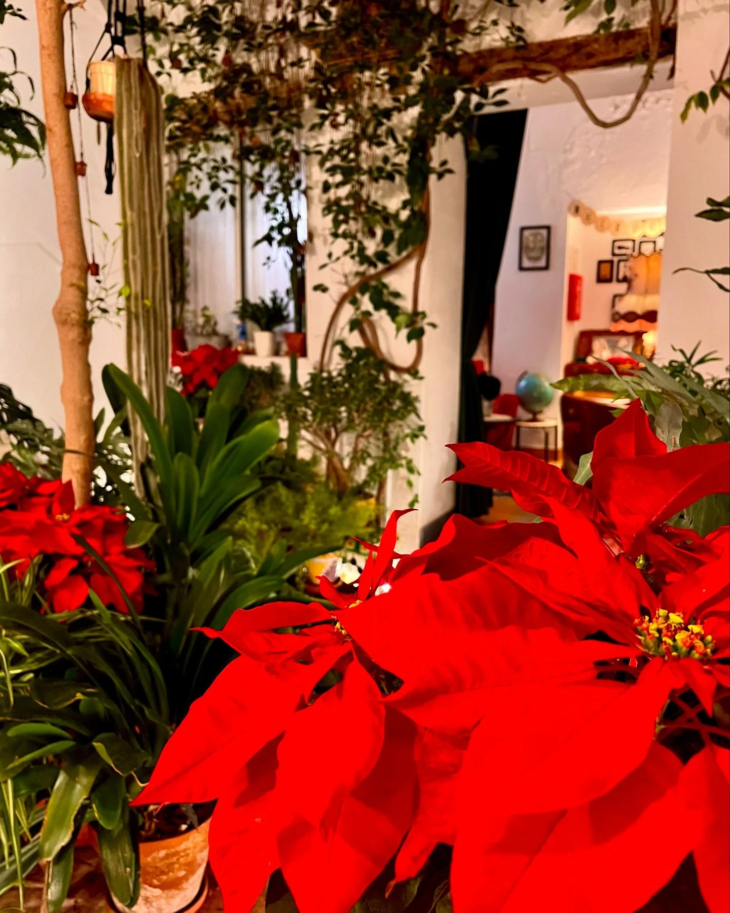 #christmas is coming