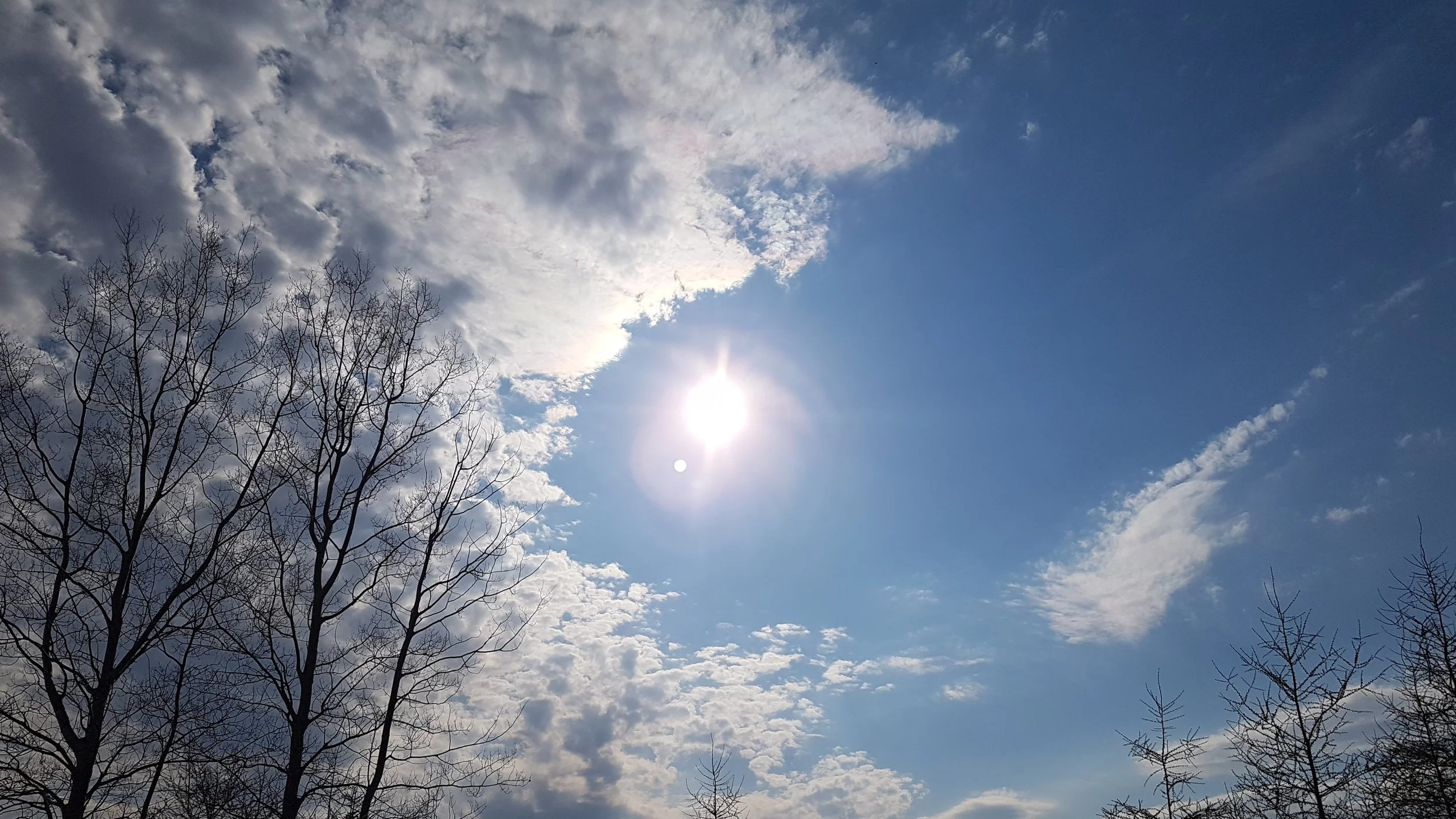 20190528_181847.jpg