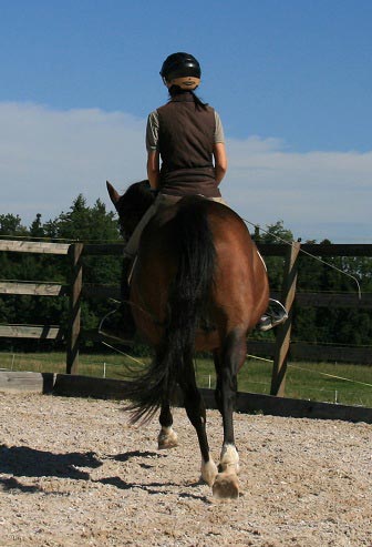 Volte im Galopp