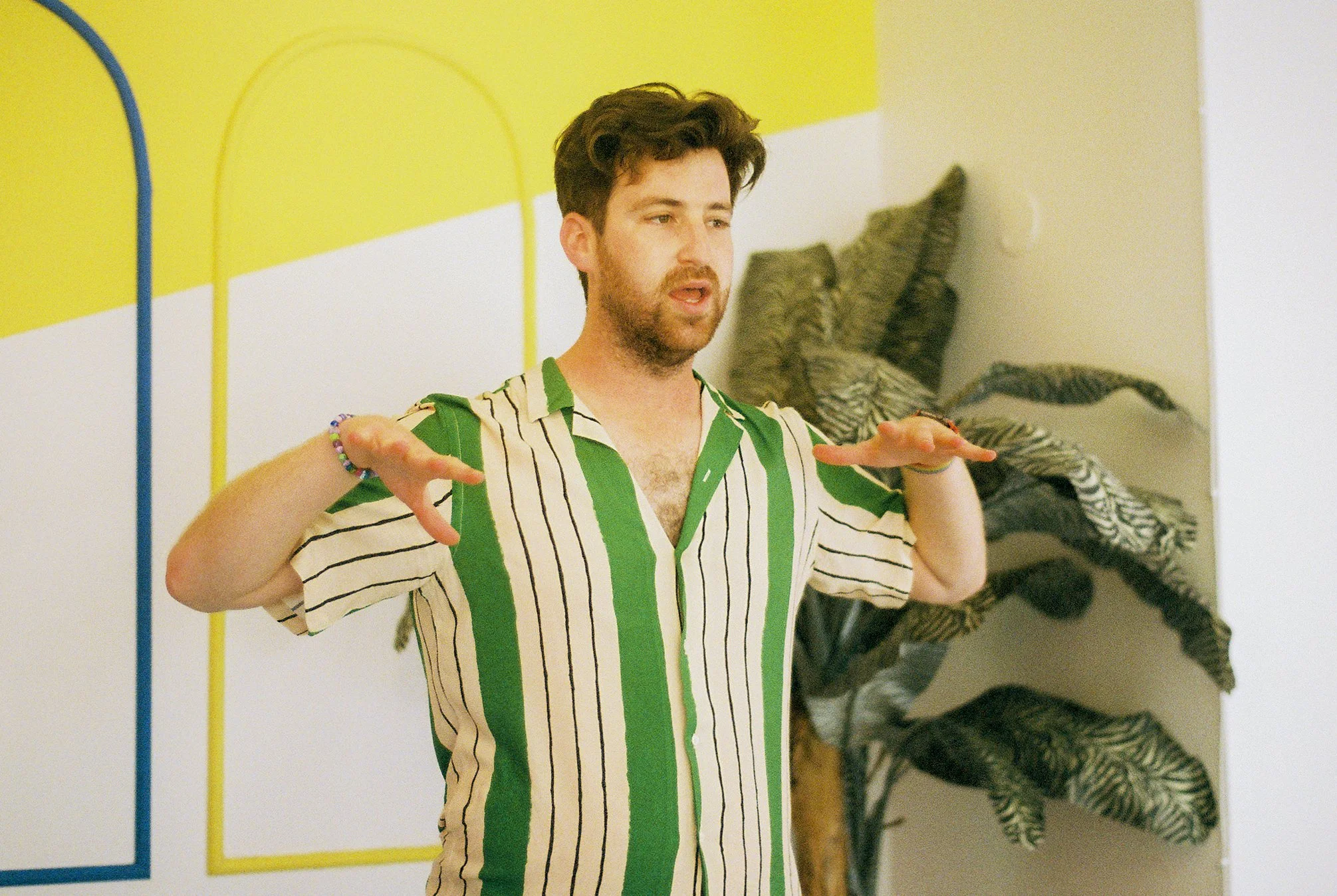 A man with dark hair and a beard wearing a striped shirt with green and white colors, gesturing with his hands, in a room with yellow and white walls and a framed striped pattern, with several snakes hanging on the wall behind him.