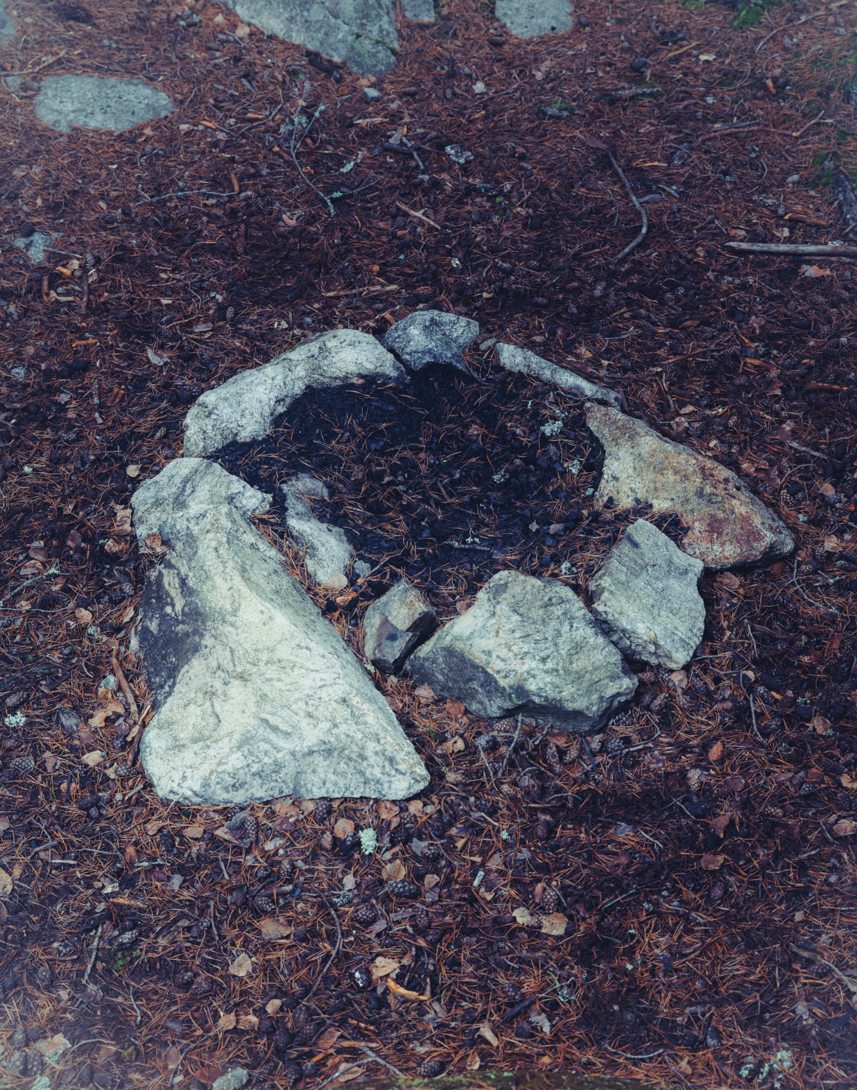 Screenshot 2025-12-22 at 13.16.38.png