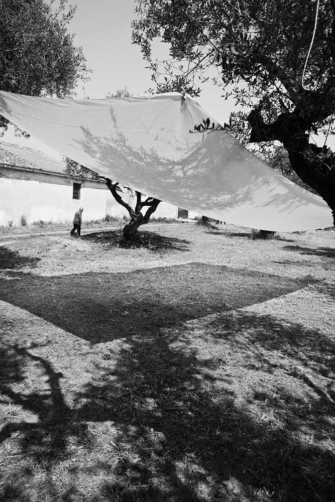 02_a-sense-of-place.jpg