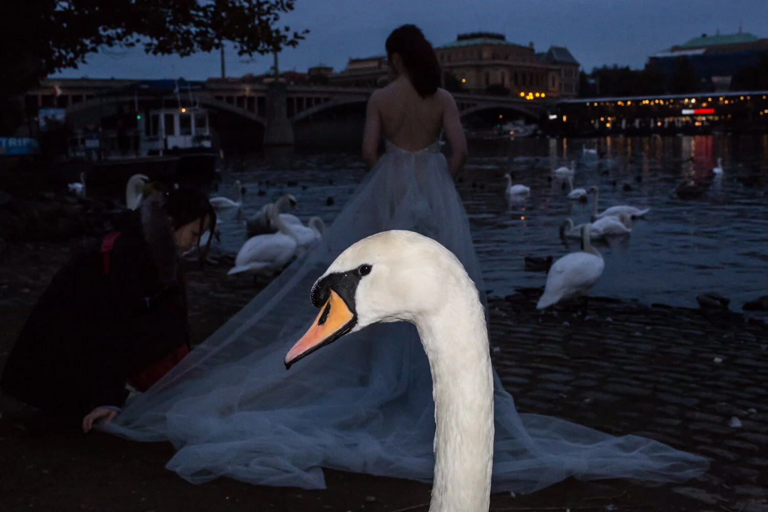 PHOTO OF THE MONTH BY DIMITRIS MAKRYGIANNAKIS