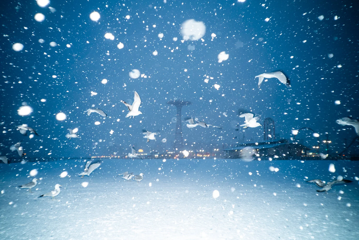 PHOTO OF THE MONTH BY KANRAPEE CHOKPAIBOON