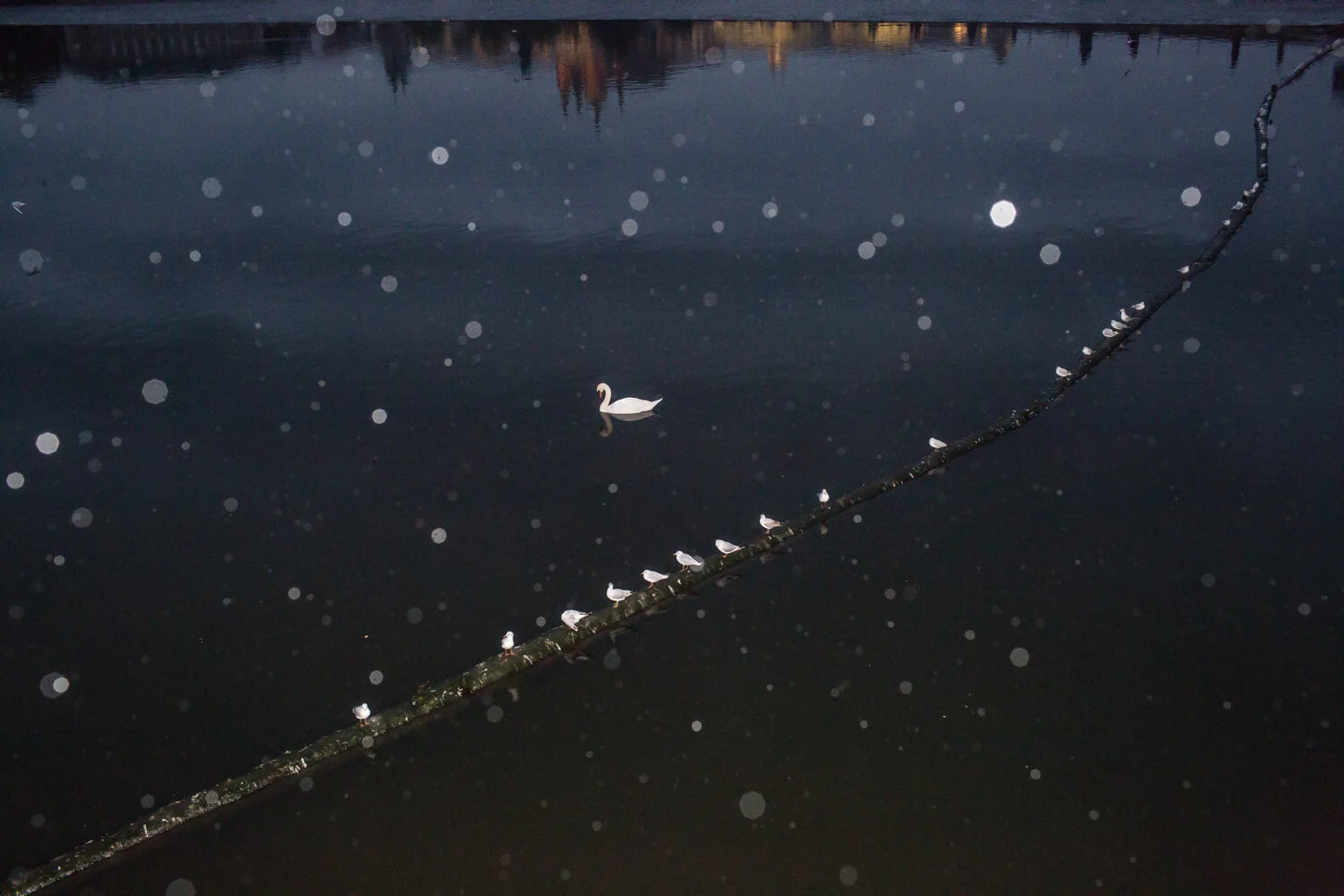 PHOTO OF THE MONTH BY DIMITRIS MAKRYGIANNAKIS