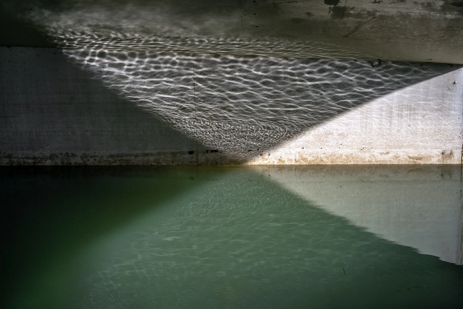 PHOTO OF THE MONTH BY TC LIN