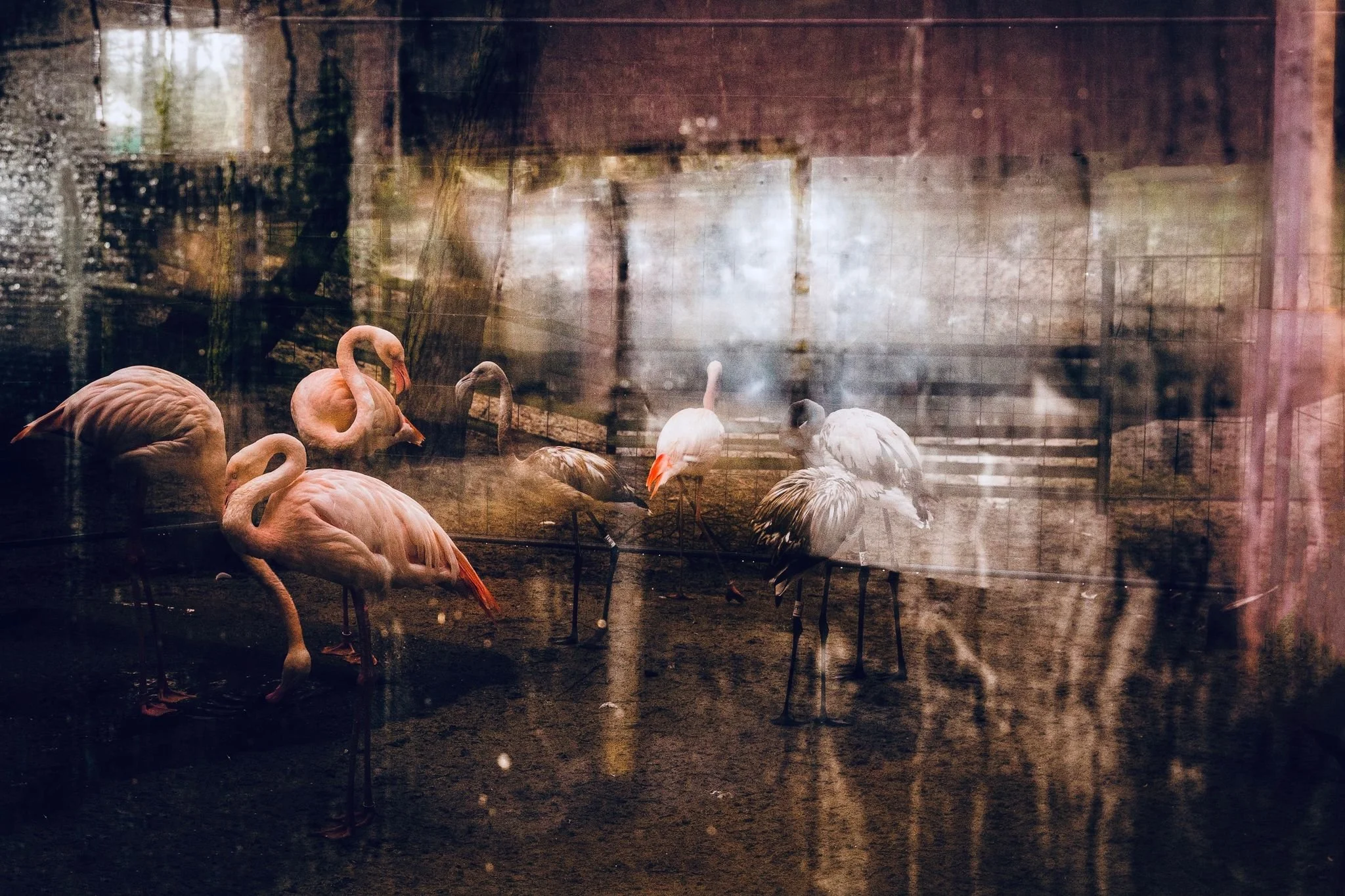 PHOTO OF THE MONTH BY EFI LONGINOU