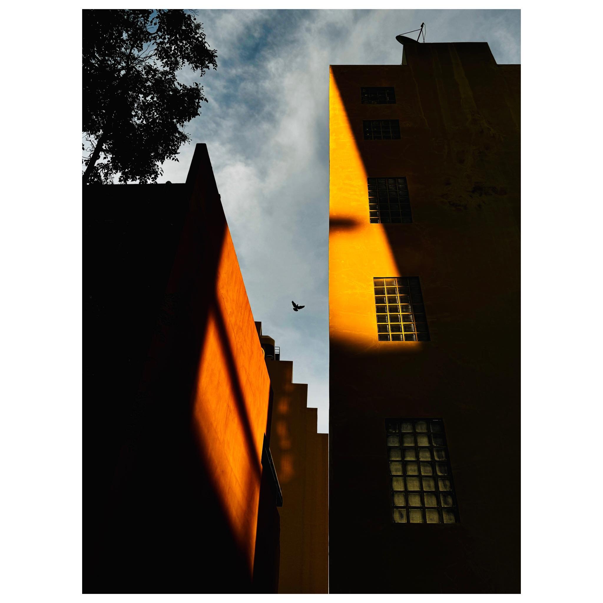 PHOTO OF THE MONTH BY RAMMY NARULA