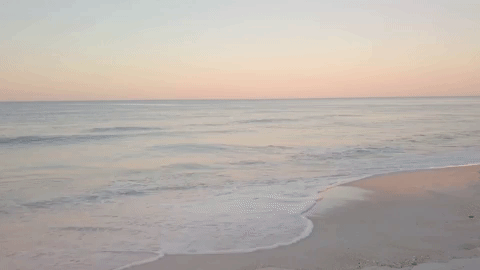 Hero Image Background Beach Sunrise GIF.gif