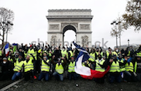 1 yellow vest.png