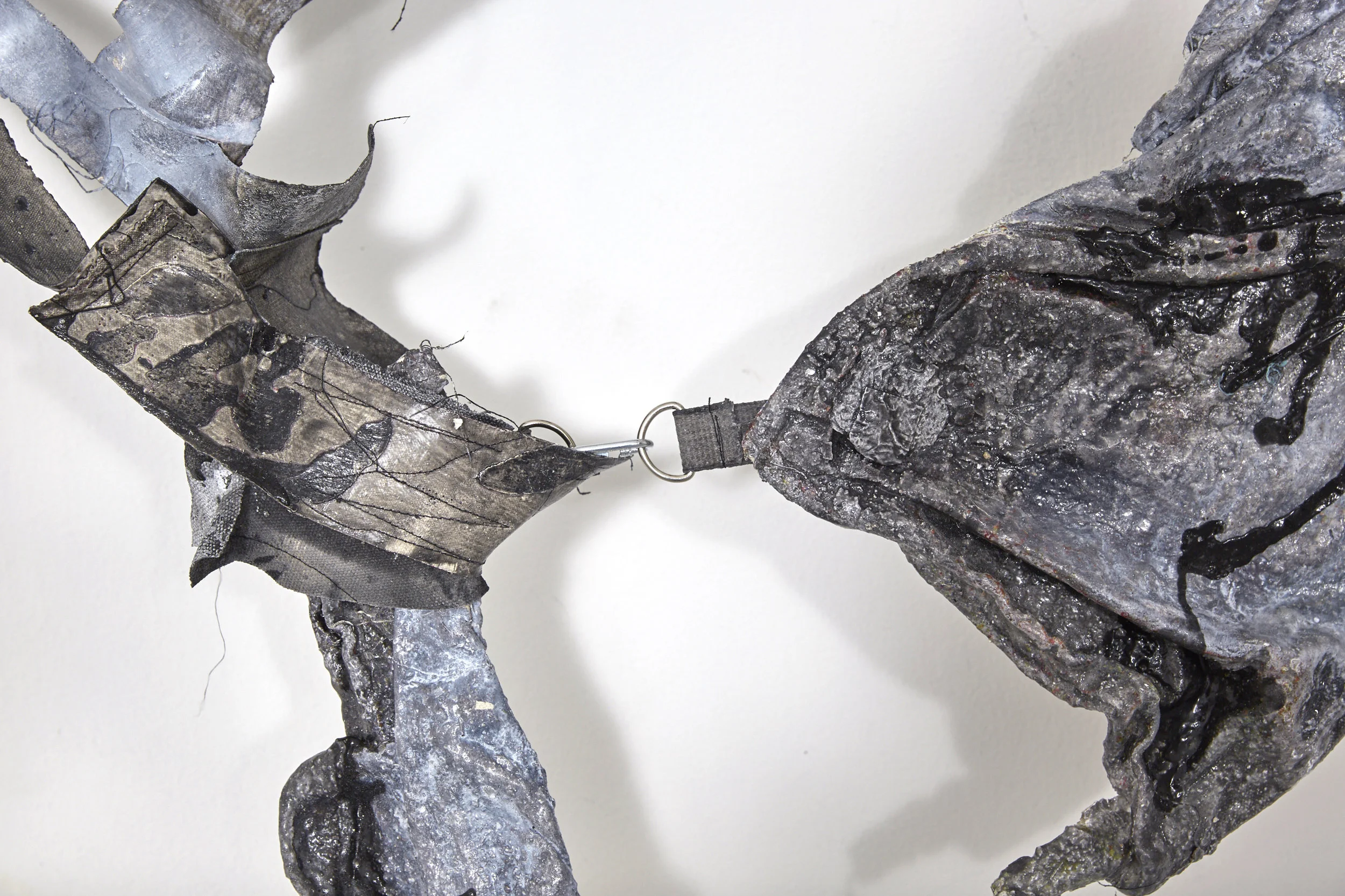 Splayed in the Shadow (detail)