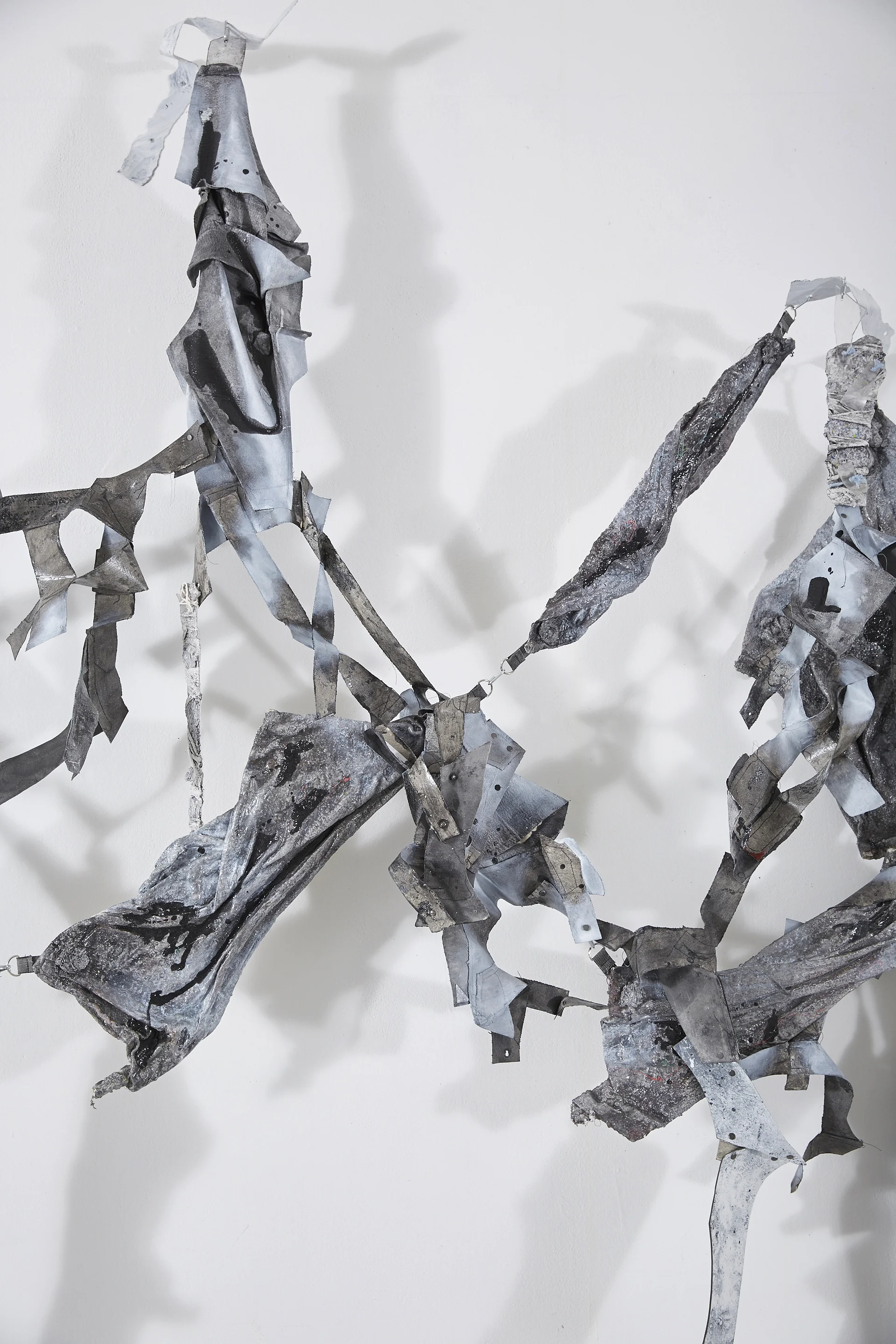 Splayed in the Shadow (detail)