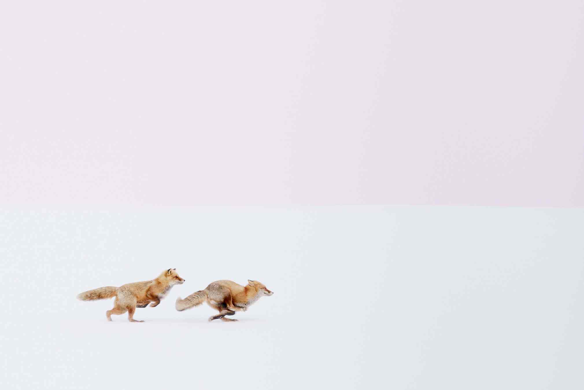 Photograph: Hiroki Inoue / National Geographic Travel Photographer of the Year Contest
