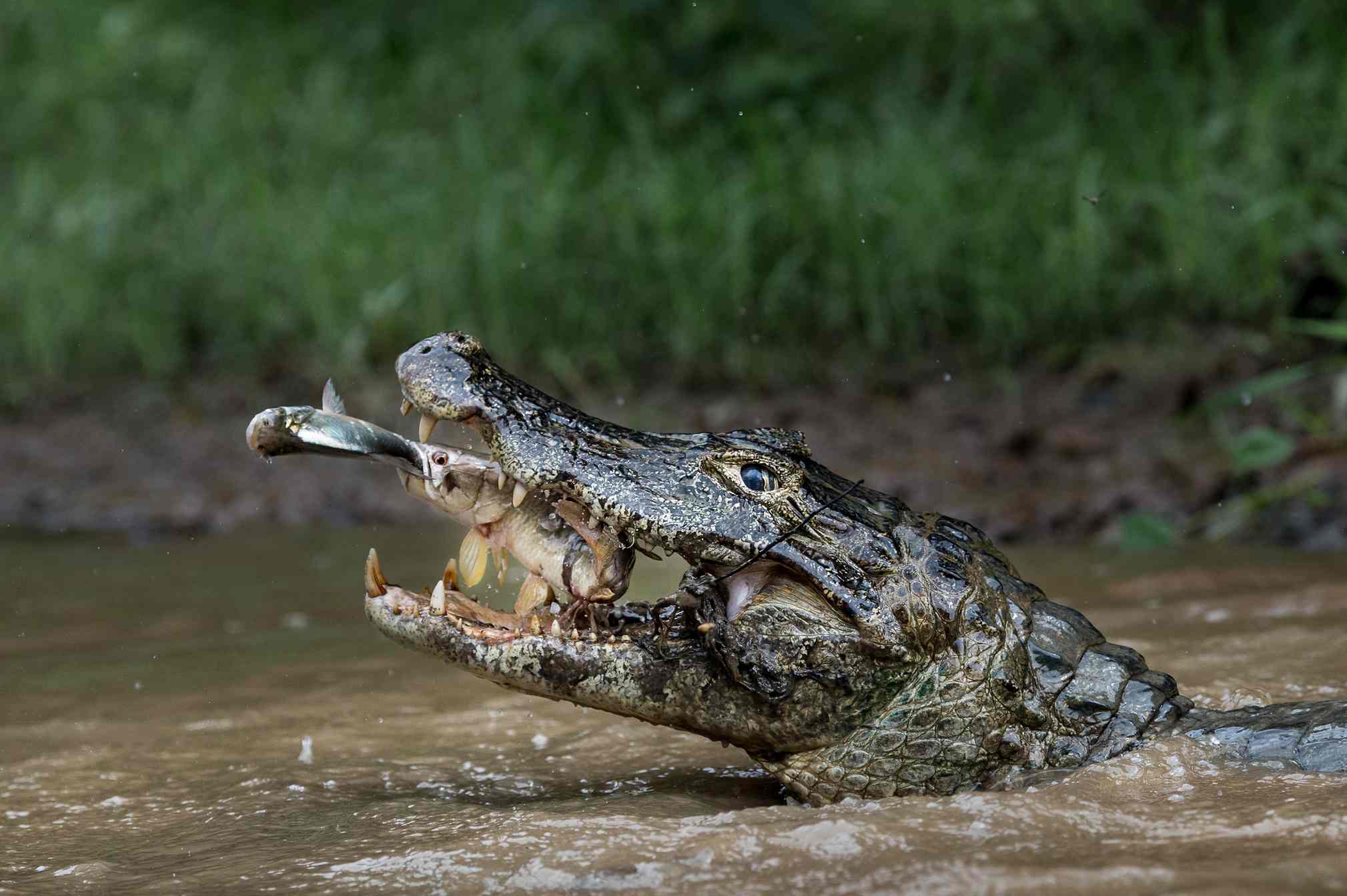 Photograph: Massimiliano Bencivenni / National Geographic Travel Photographer of the Year Contest