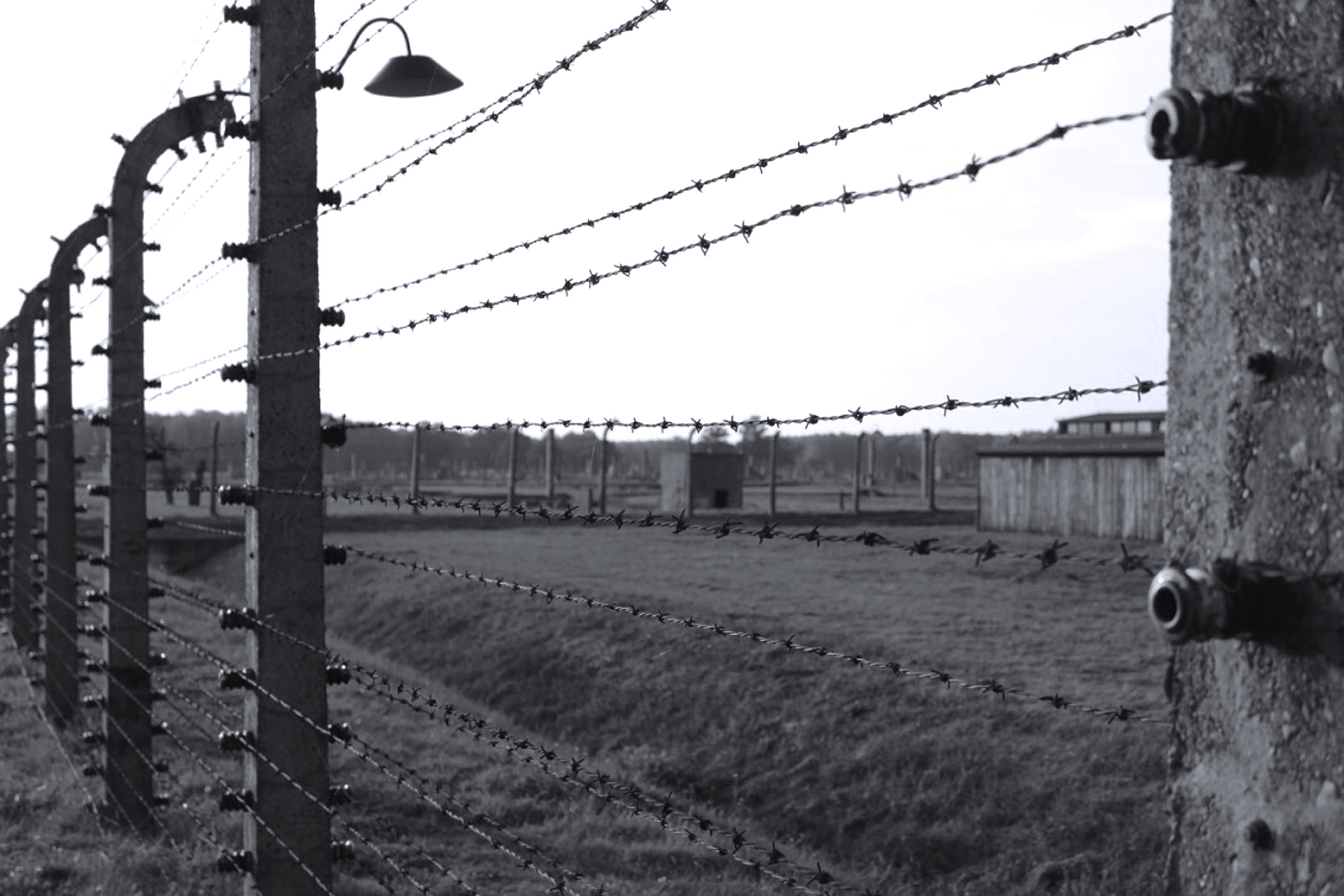 The fence around the camp (Auschwitz I and Auschwitz II – Birkenau ) was almost 14km long. Prisoners sometimes attempted to commit suicide by throwing themselves on the electrified wires.