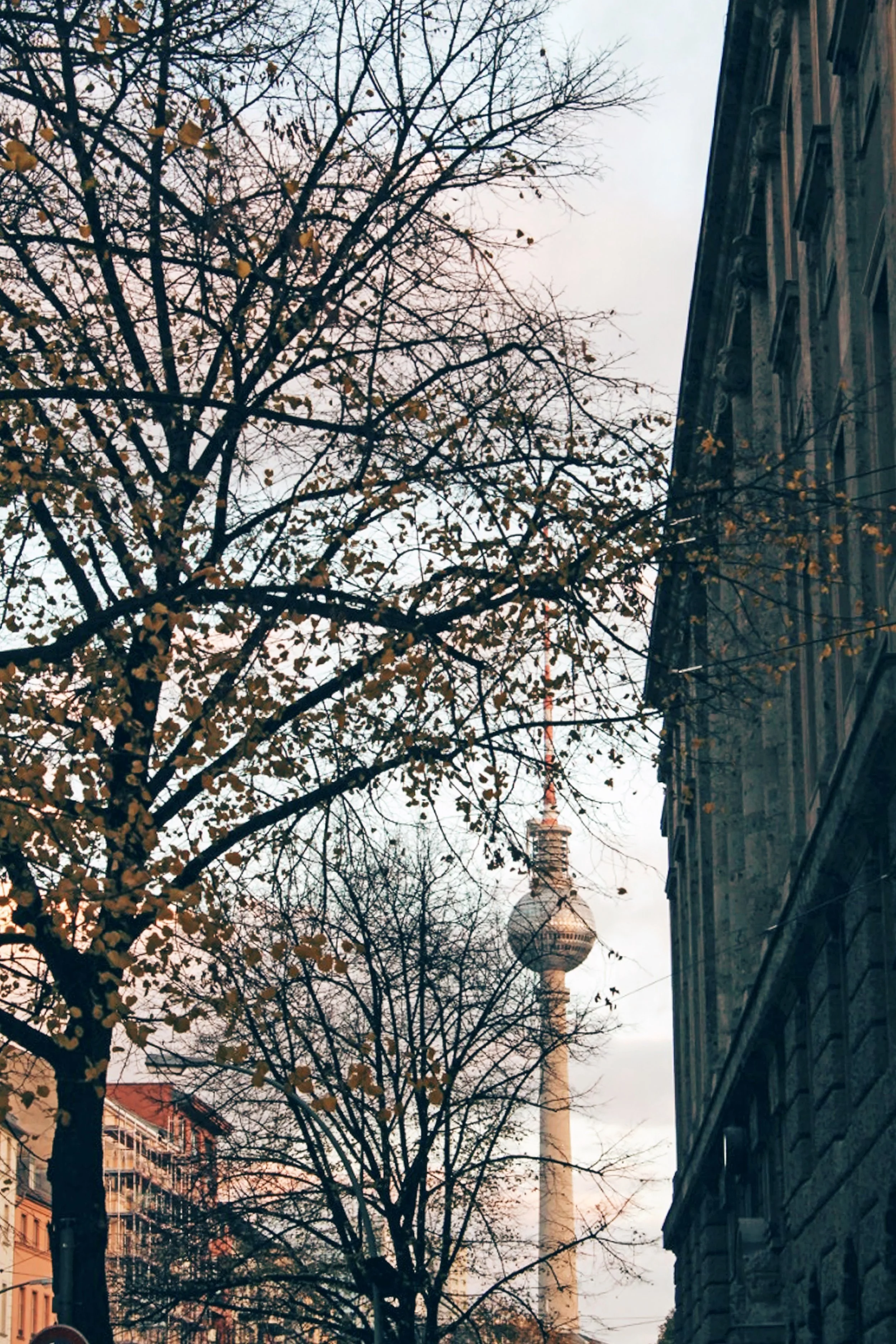 The Fernsehturm - Berlin's television tower