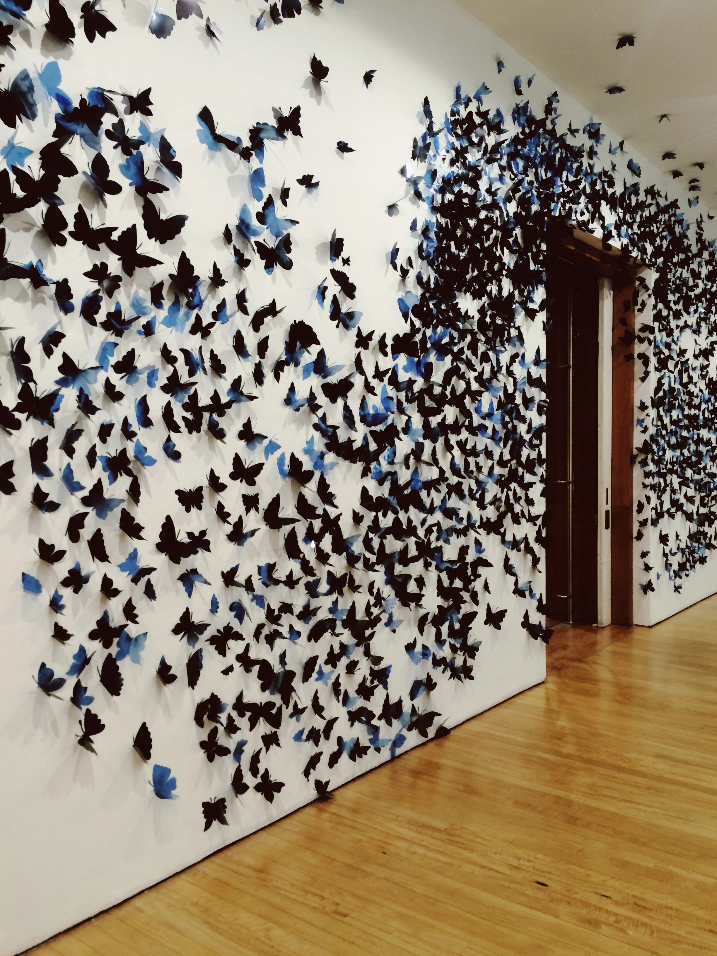 Museo de Arte Del Banca by Jane Poidevin